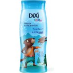 Dixi Sviště šampon a sprchový gel pro kluky 250 ml – Hledejceny.cz