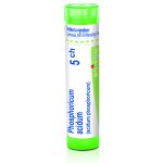PHOSPHORICUM ACIDUM POR 5CH GRA 4G – Hledejceny.cz