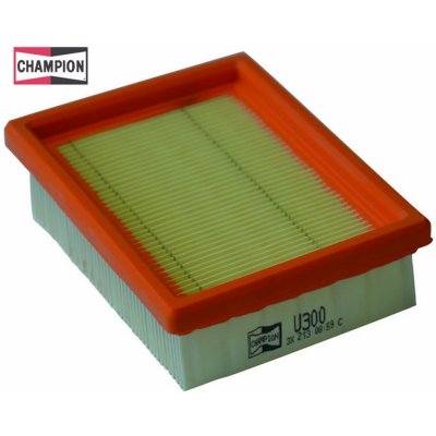 Vzduchový filtr CHAMPION 100602275 100602275 – Hledejceny.cz