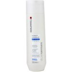 Goldwell Dualsenses Scalp Specialist Anti Dandruf Shampoo 250 ml – Zboží Mobilmania