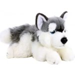 Eco-Friendly Rappa pes husky 30 cm – Zbozi.Blesk.cz