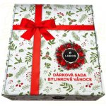 LEROS SADA BYLINKOVÉ VÁNOCE 20 x 2 g – Zboží Dáma