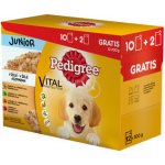 Pedigree Junior kuřecí 12 x 100 g – Sleviste.cz