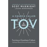 A Church Called Tov: Forming a Goodness Culture That Resists Abuses of Power and Promotes Healing – Hledejceny.cz