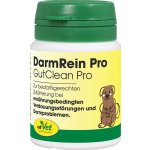 cdVet Čistič střev v prášku Darm Rein 20 g – Hledejceny.cz