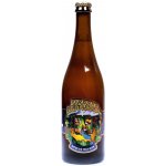 Matuška Apollo Galaxy Pale ALE 13° 5,5% 0,75 l (sklo) – Zboží Dáma