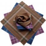 Etex Bavlněné kapesníky typ C – Sleviste.cz