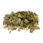 Koňské bylinky Bříza list Betula pendula L. 1 kg – Hledejceny.cz