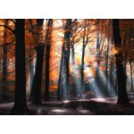 Pohlednice Dny oranžových paprsků – Zboží Dáma