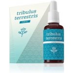 Energy Tribulus terrestris forte 30 ml – Zboží Mobilmania