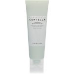 SKIN1004 Madagascar Centella Tea-Trica BHA Foam 125 ml – Hledejceny.cz