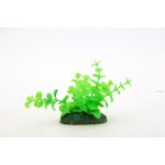 Aqua Nova NP-10-08081 10 cm – Zbozi.Blesk.cz