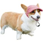 Baseballová čepice Qaziuy pro psy – Sleviste.cz