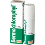 Dr. Müller Dermochlorophyl sprej 30 g – Hledejceny.cz