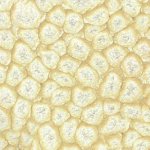 Pebeo Fantasy efektová barva Prisme 45 ml Eggshell White – Zboží Mobilmania