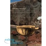 What’s wrong? Hard science and humanities – tackling the question of the absolute chronology of the Santorini eruption – Hledejceny.cz