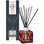Maison Berger Paris aroma difuzér Cube Proti zápachu z kuchyně Svěží květinová vůně 125 ml – Hledejceny.cz
