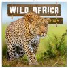 Kalendář Poznámkový Divoká Afrika 30 × 30 cm 2024