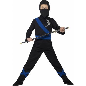Ninja bojovník