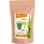 Zdravý den Mladá Pšenice 250 g – Hledejceny.cz