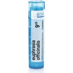 EUPHRASIA OFFICINALIS POR 9CH GRA 1X4G – Hledejceny.cz