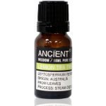 Ancient Lemon Tea tree 100% éterický olej 10 ml – Hledejceny.cz
