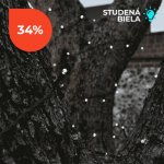 Solar Solární LED řetězCentre Elan SS9943 100 LED 10m studená bílá – Hledejceny.cz