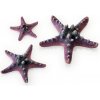Akvarijní dekorace BiOrb Sea Stars set růžová 10, 8 a 5 cm