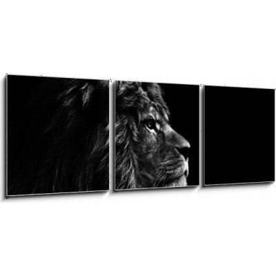Obraz 3D třídílný - 150 x 50 cm - Stunning facial portrait of male lion on black background in bla Ohromující obličej portrét lva na černém pozadí v bla