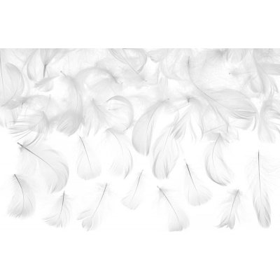 Paris Dekorace Dekorační peříčka bílá 3 g – Zboží Dáma