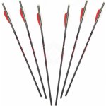 By Beier Germany Killer Instinct Hypr 20“ 6 ks – Zboží Dáma
