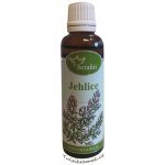 Serafin tinktura z bylin Jehlice trnitá 50 ml – Hledejceny.cz