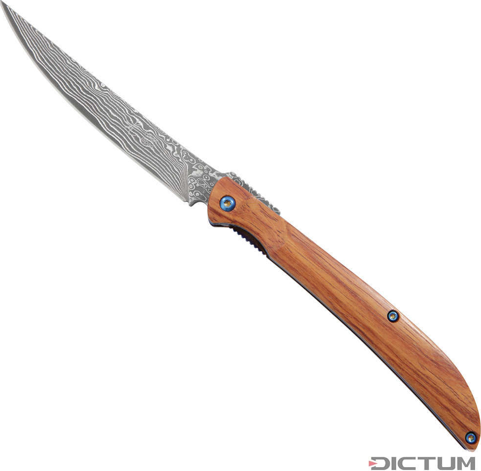 DICTUM 719743 Japanese Folding and Steak Knife