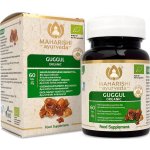 Maharishi Ayurveda Guggul 60 tablet – Hledejceny.cz