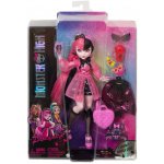 Mattel Monster High Draculaura Doll With Pink And Black Hair And Pet Bat – Zboží Mobilmania