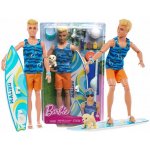 Barbie Ken surfař s doplňky – Zboží Dáma
