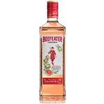 Beefeater Grapefruit 37,5% 0,7 l (holá láhev) – Sleviste.cz