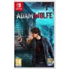 Hra na Nintendo Switch Adam Wolfe