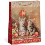 ARGUS Dárková papírová taška (23.3 x 31.3 cm) 08540088 – Zboží Dáma