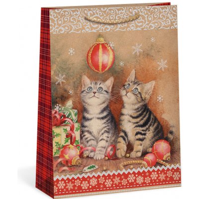 ARGUS Dárková papírová taška (23.3 x 31.3 cm) 08540088 – Zboží Dáma