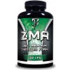 Bodyflex ZMA 100 kapslí