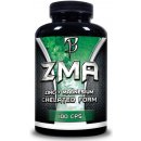 Bodyflex ZMA 100 kapslí