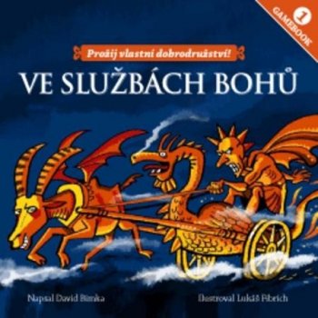 Ve službách bohů - David Bimka