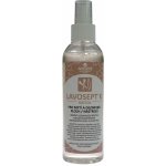 Lavosept nástroje dezinfekční roztok na nástroje spray s vůní trnky 200 ml – Hledejceny.cz