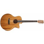 TANGLEWOOD TW4 E – Sleviste.cz