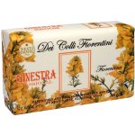 Nesti Dante Dei colli Fiorentini mýdlo Janovec 250 g – Zboží Dáma