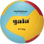 Gala Volleyball 10 BV5551S – Hledejceny.cz