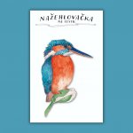 ePiPí Nažehlovačka Ledňáček – Zbozi.Blesk.cz