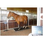 Váha na koně BOSCHE PW1500 do 1500 kg – Hledejceny.cz