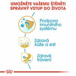 Royal Canin Shih Tzu Puppy 1,5 kg – Zboží Mobilmania